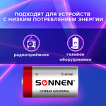 Батарейки комплект 2 шт SONNEN D (R20) солевые в пленке (12 штук в упаковке)