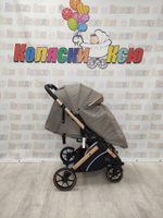 Коляска прогулочная Rant Basic Vortex Beige