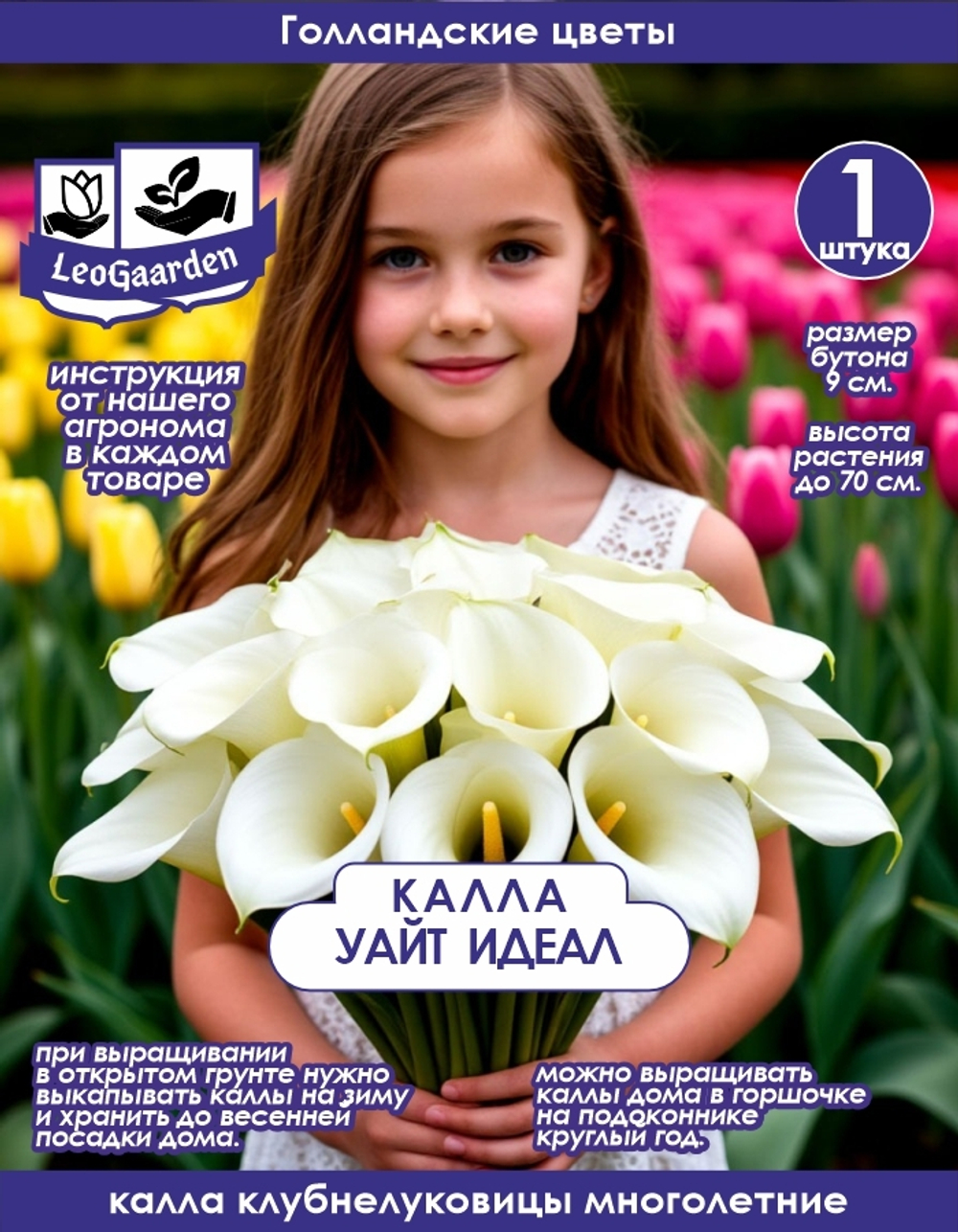 Калла, Клубнелуковица, Уайт Идеал, 1 шт.
