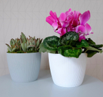 Кашпо Магнолия Джампер с поддоном фирма Ламела (Польша)