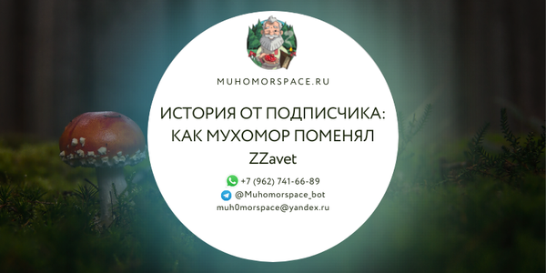 История от подписчика: ZZavet