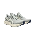 Женские кроссовки ASICS GT-2000 13 ATC 'Seal Grey Brich' 1012B810-020