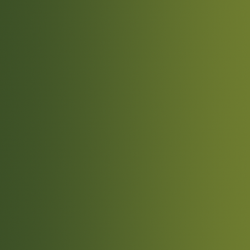 Game Xpress Color - Orc Skin