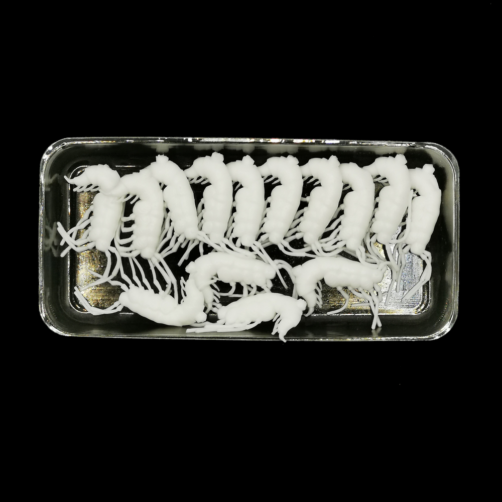 Рыболовные, силиконовые приманки. Рачки мормыш RuBaits Shrimp креветка. Набор для рыбалки на щуку, судака, окуня, форель. Зимняя рыбалка, микроджиг.