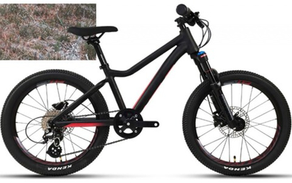 Велосипед WELT Rock 20 Air (2021)