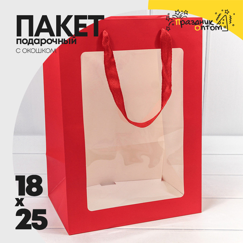 Пакет подарочный 18х25х13см с окошком (Красный)