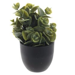 GAEM Цветочная композиция, L8 W8 H14 см