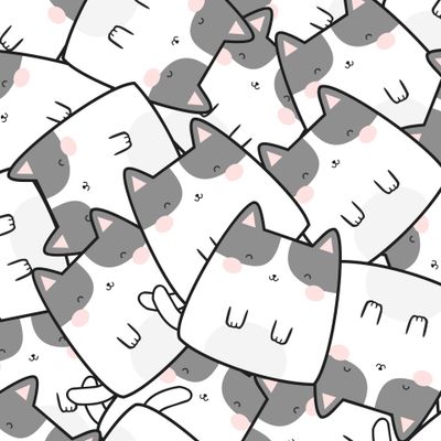 котики
