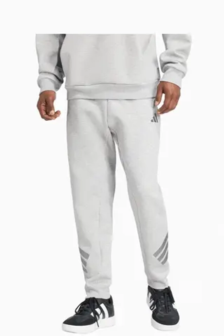 Штаны adidas Future Icons 3-Stripes - серый