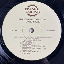 Винтажная виниловая пластинка LP Living Sound Here Where You Belong (UK 1977)