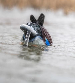 Чучело кряквы (селезень) Lucky Duck Agitator HDi с водомётом