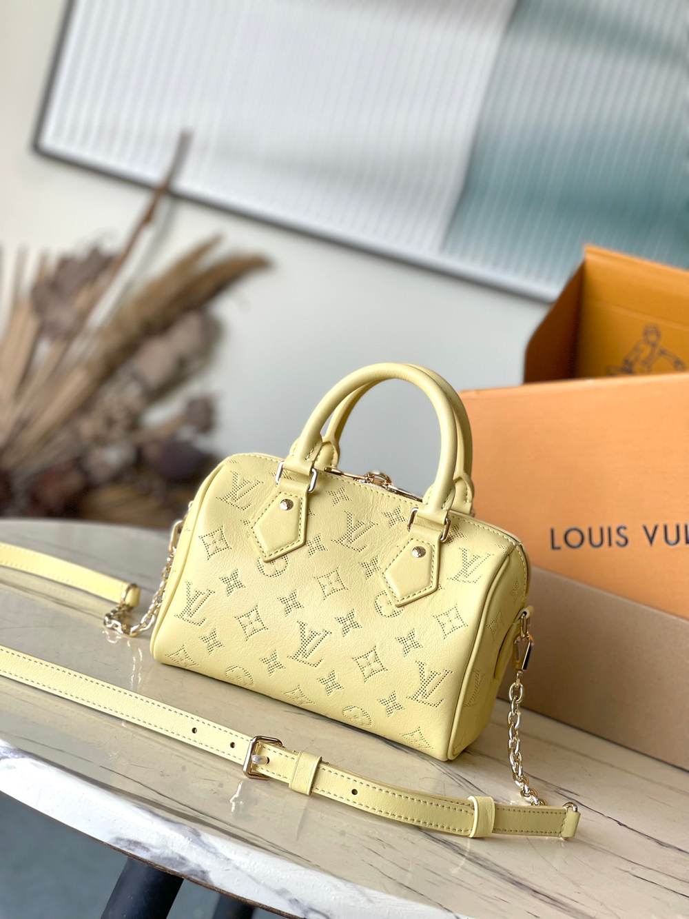 Louis Vuitton Speedy 20