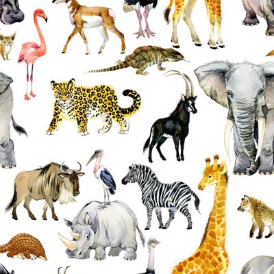 африка животные