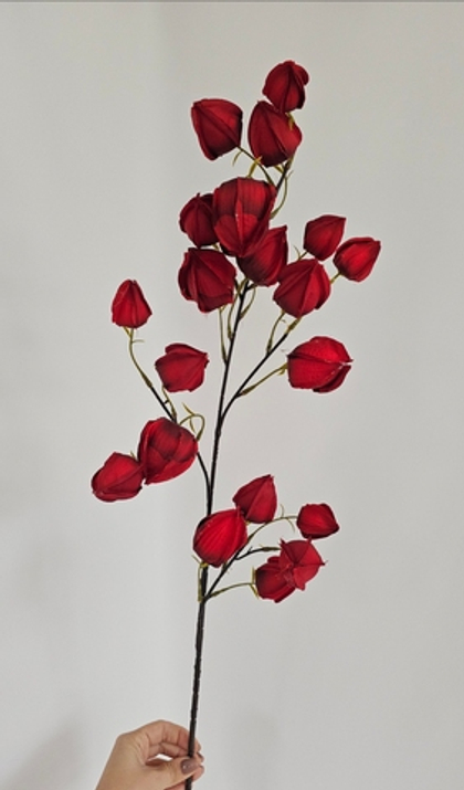 Физалис / Арт 2298