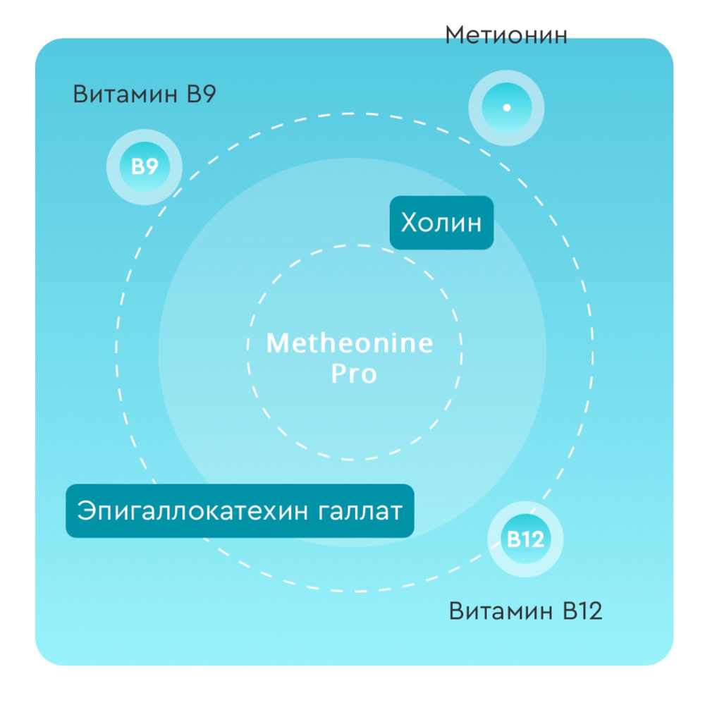 METHEONINE PRO, Метионин ПРО с катехинами и холином