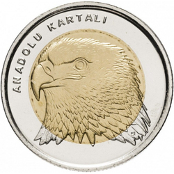 Анатолийский орёл