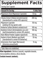 Designs For Health - Gi Microb-X 120 capsules