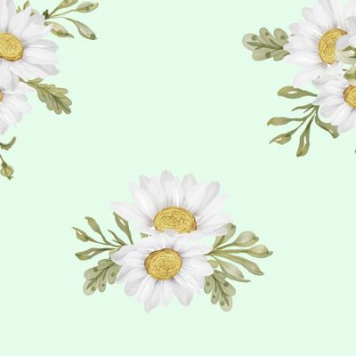 Весенняя Ромашка