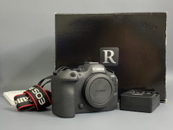 Canon EOS R6 Mark II 1000 кадров