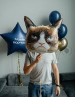 Воздушные шары №8231