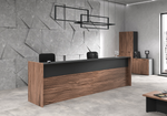 Стойка ресепшен вариант 1 DALI (ДАЛИ)