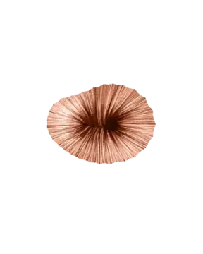 Coral Wall & Ceiling Light by aqua creations