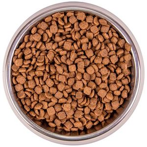 Сухой корм Monge Cat BWild GRAIN FREE для стерилизованных кошек, беззерновой, из тунца