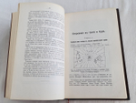 "Откровение в грозе и буре. История возникновения апокалипсиса". Н.Морозов. 1907 г.