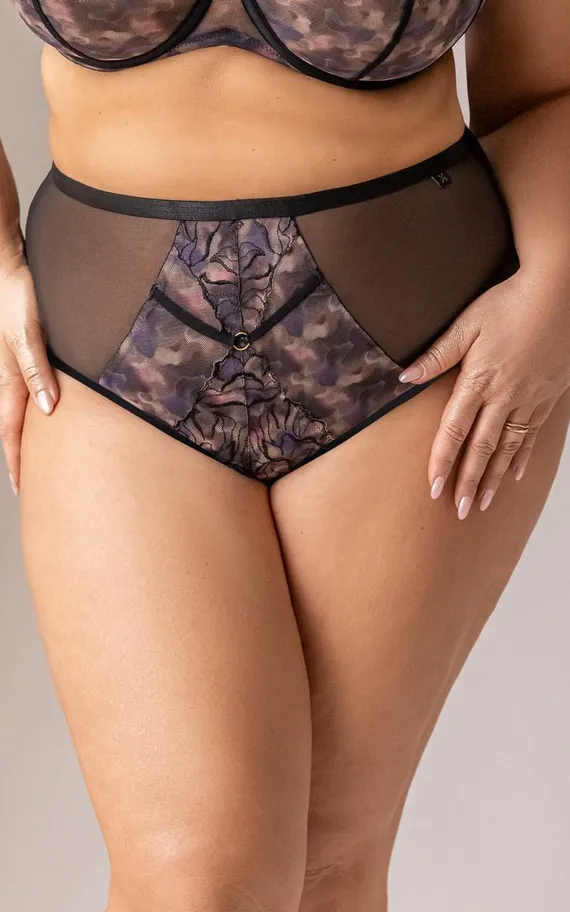 BLURRY Briefshighwaist Трусы высокие