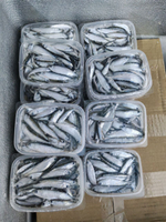 Тюлька (Заволжская)