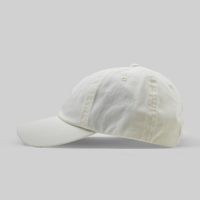 Кепка Dickies Hardwick 6 Panel Logo артикул:DK0A4TKVC581 - купить в магазине Дайс