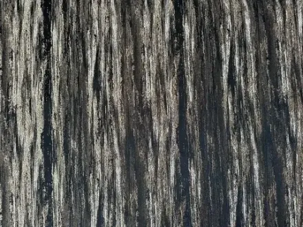 Коллекция Армани