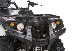 Квадроцикл BALTMOTORS Striker 700 EFI (ПСМ)