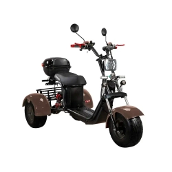 Skyboard TRIKE BR40-3000 PRO FAST OFF-ROAD