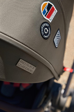 Детская коляска Anex Flo 2 в 1 Cesar