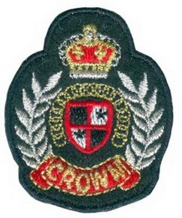 Нашивка Герб с короной, серебро