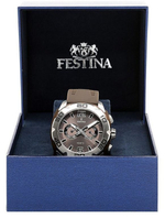 Мужские наручные часы Festina F16665/4