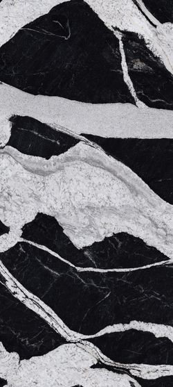 VERSACE SENIOR BLACK