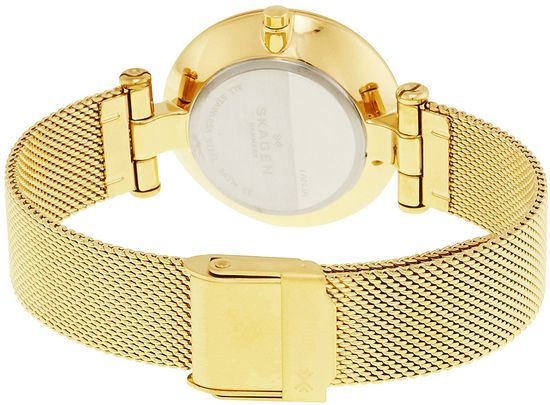 Наручные часы Skagen SKW2486