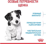 Royal Canin Mini Puppy Сухой корм Роял Канин для щенков мини пород, 2 кг