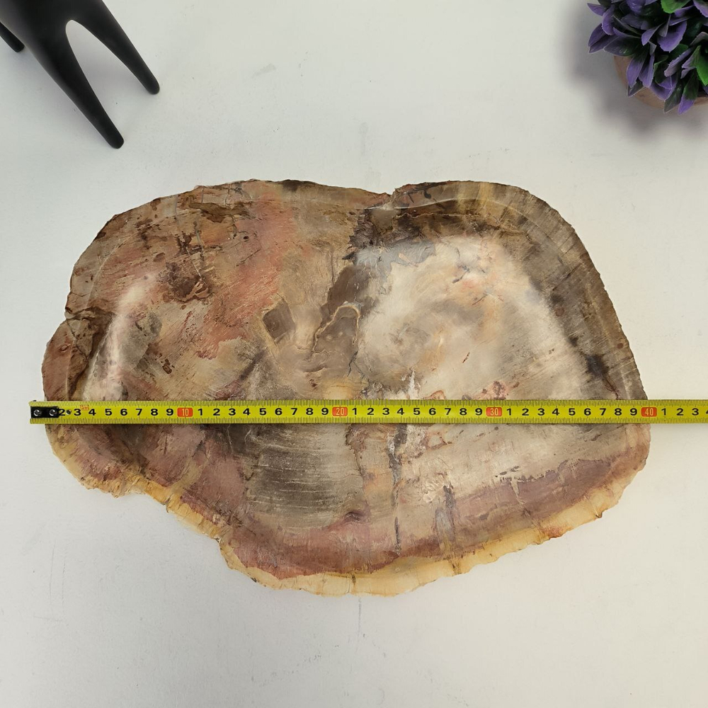 Набор из окаменелого дерева 4 предм Fossil Set NF-63073 поднос 30см*40см