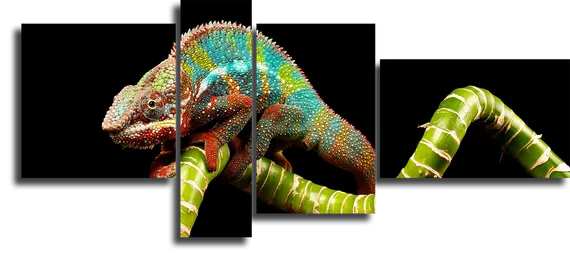 Модульная картина "Хамелеон"
