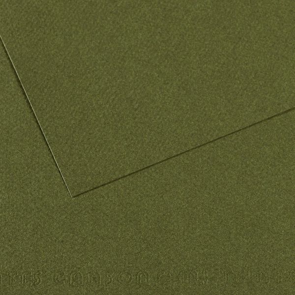 Бумага для пастели Mi-Teintes 160 г/м², 75х110 см, 10 л, №448 Зеленый плющ, Canson, C31033S166