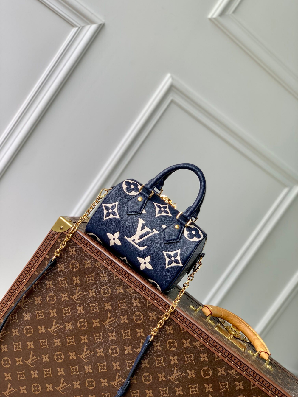 Louis Vuitton Speedy 20