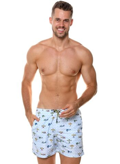 Мужские пляжные шорты с принтом в виде самолетов (Размер: XL) (Цвет: голубой)