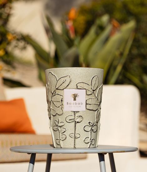 Maquis, свеча MAX 10 Folia collection, Baobab Collection