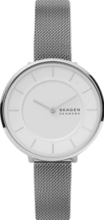 Мужские наручные часы Skagen SKW3016