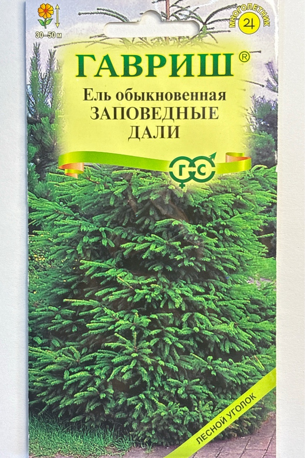 Ель обыкновенная Заповедные дали 0,5 г СМЦ-811