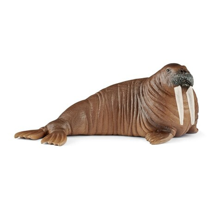 Schleich - Морж - кобель 14803 / артикул   14803  / GTIN 4055744019784