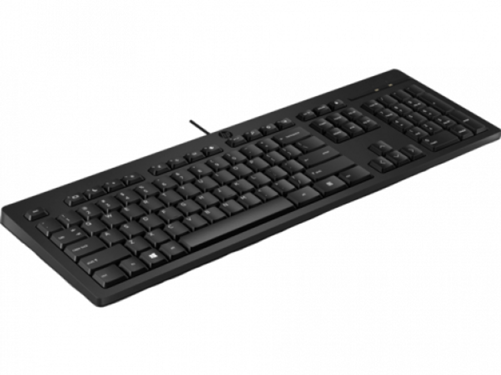 Клавиатура HP 125 USB Wired Keyboard (266C9A6)